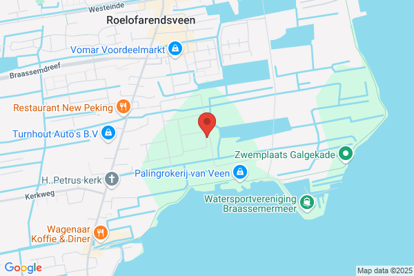 Driessen, P