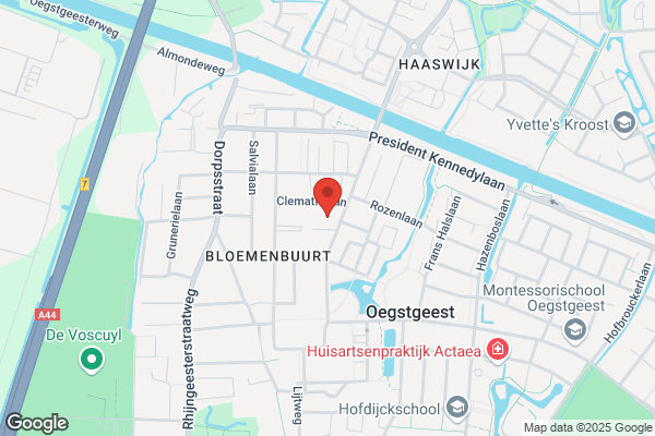 Zijdevlinder De