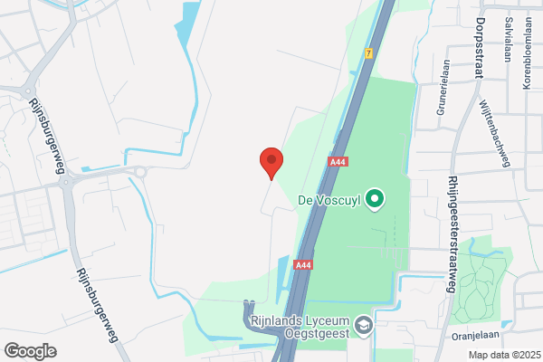 Bab Star Bloemengroothandel