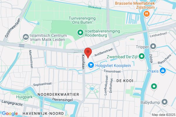 Action Leiden