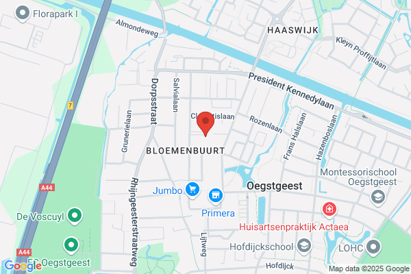 Cleaning Service Holland