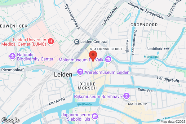 Domino's Pizza Leiden - Stationsweg - Centrum