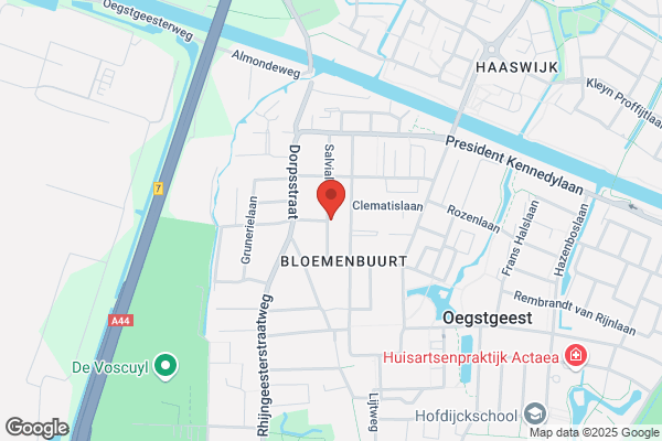 Oostveen Schoonheidssalon, Henna