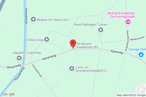 De Buurte Handelskwekerij BV