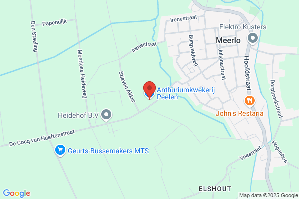 Anthuriumkwekerij Peelen