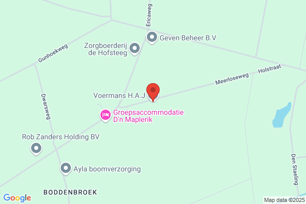 J.F.M. Hanckmann Romans