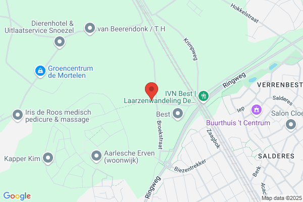 Leijten, P
