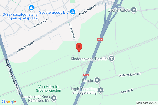 Hoogeind Laanbomen Boomkwekerij