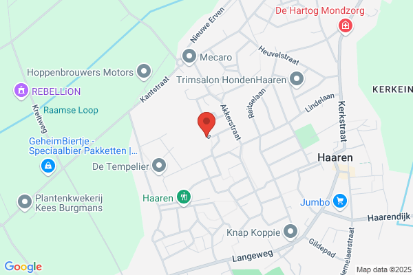 Organisatie- En Promotieburo La Promesse