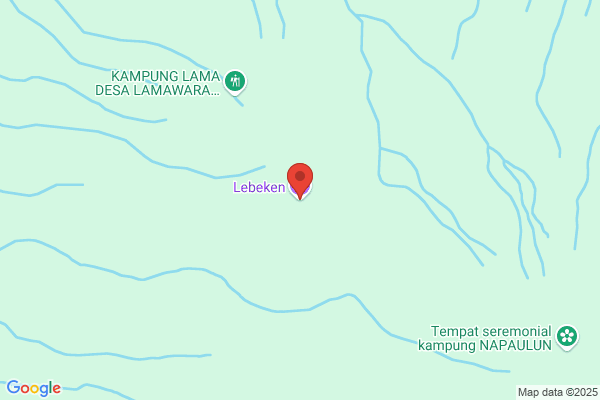 Indonesia Bunga Muda Bv