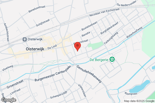 De Tovervogel