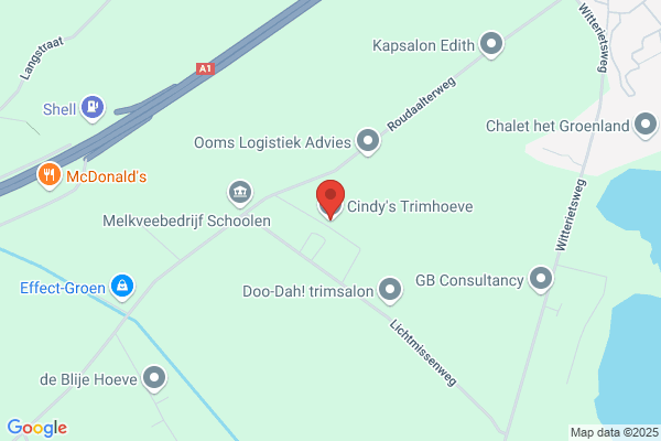 Rientjes, Cindy