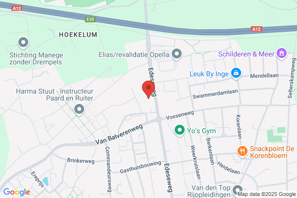 Mvd Automatisering