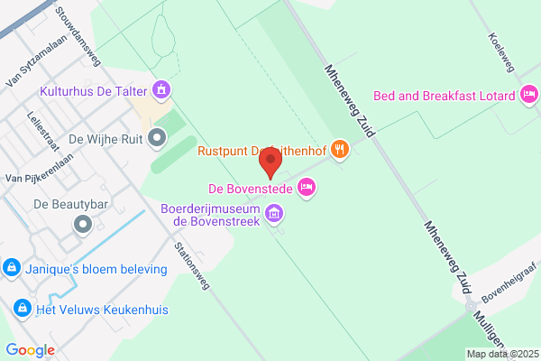 Zwaan, De