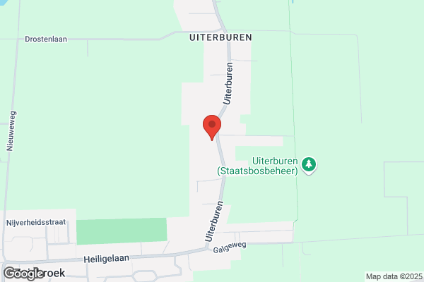 Matter Ongediertebestrijding