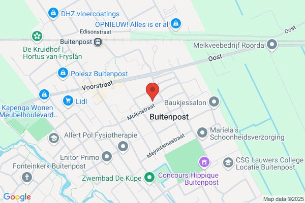 Dutch Boys International