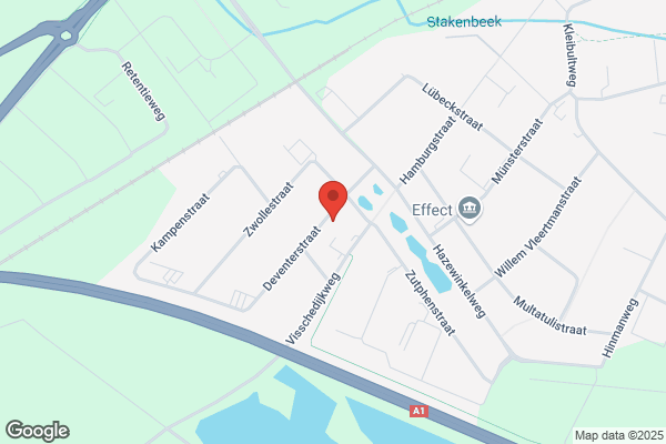 Pathefoon, De