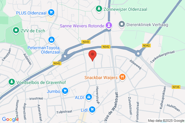 Steinmeijer & Zn, Fa G J