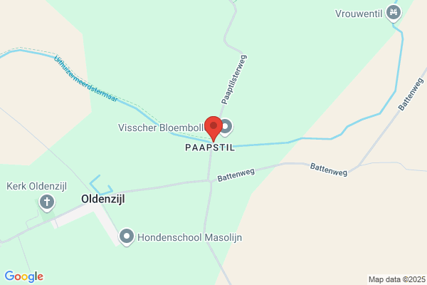Mensinga
