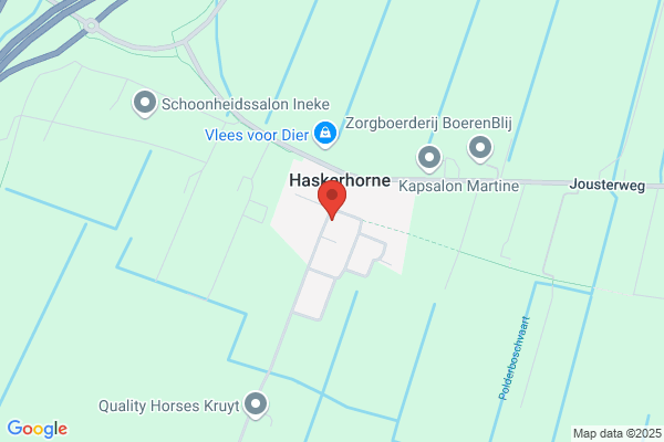 Trefpunt