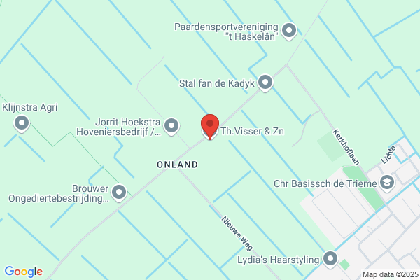 Visser En Znn, Th