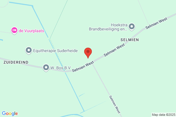 Groenvoorzieningsbedrijf F H Veenstra
