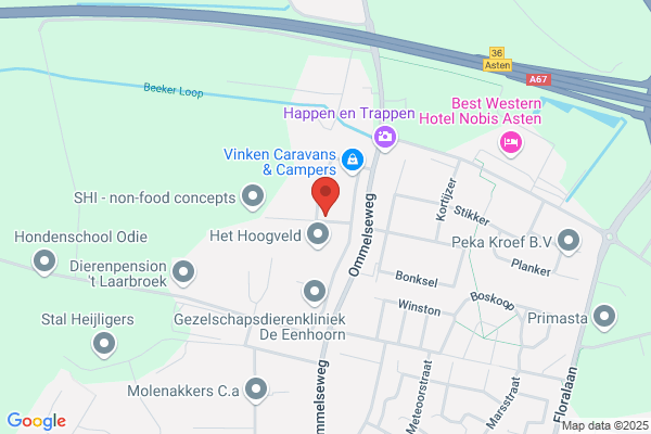 Garage Bedrijfswagenservice Vd Vorst Vof