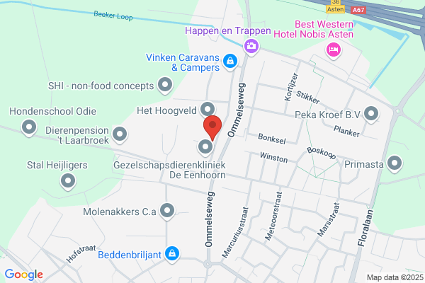 Hoefnagels Bv