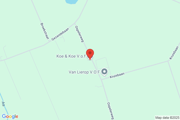 Nieuwe Koeien Bv