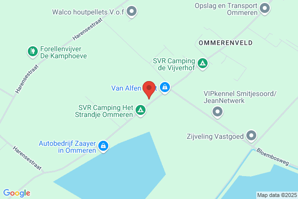 Nellestijn Assurantien