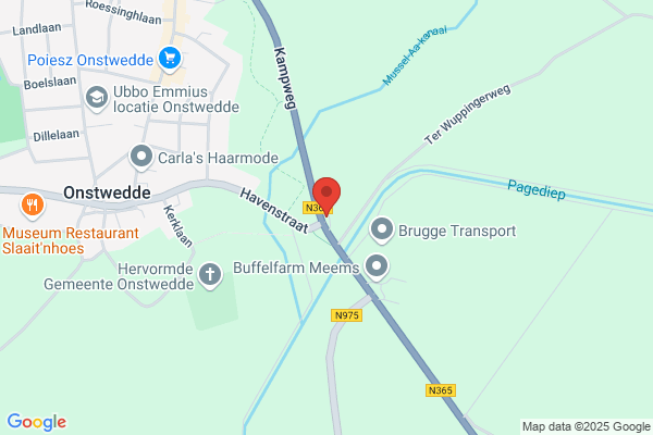 Van Den Belt