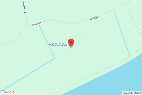Vidi Vof