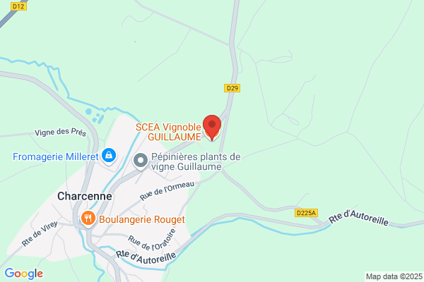 Domaine Guillaume