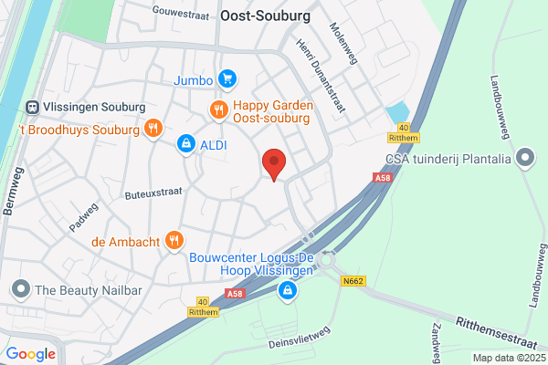 Acupunctuur Louwe A.P. Kooijmans De Nooijer