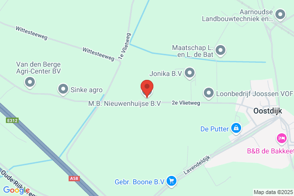 Nieuwenhuijse, D J