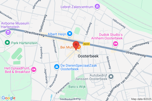 Haas Bv, De