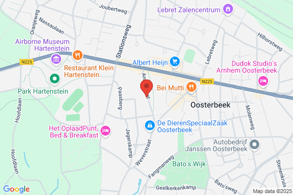 Indubio, Loopbaanadvies