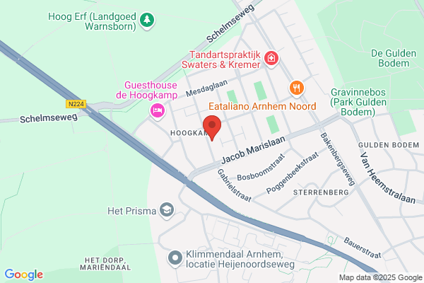 Litjens, G