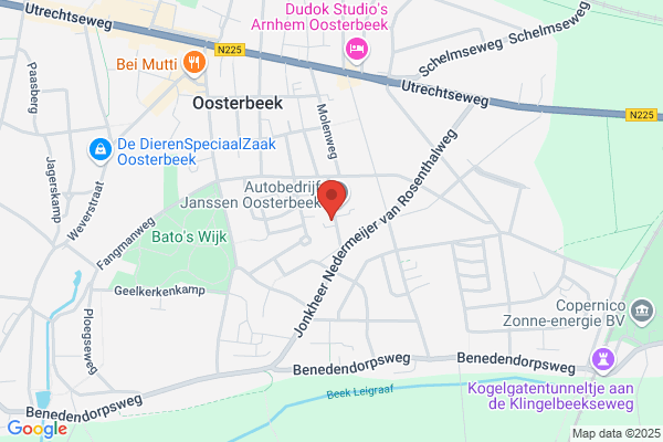 boom in beeld