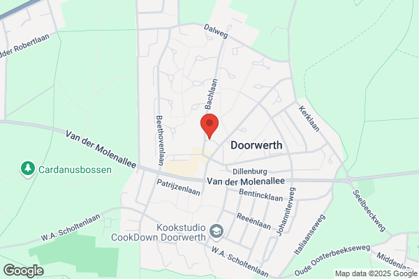 Arts Doorwerth Bv