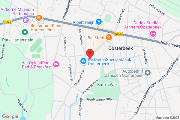 Diepenbroek Consultancy