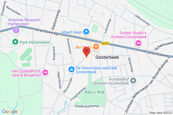 Vrolijk