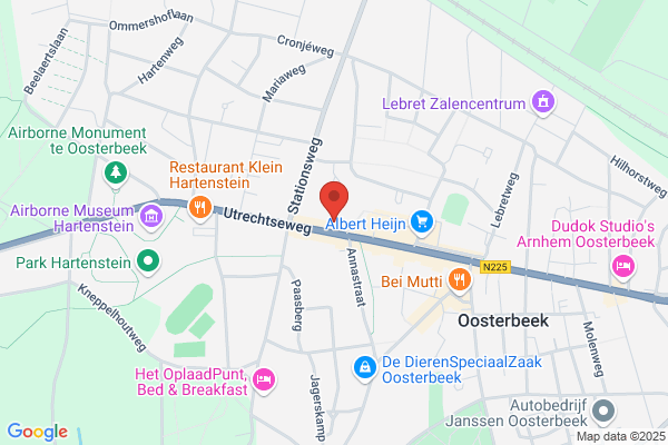 Mauritshuis, 't