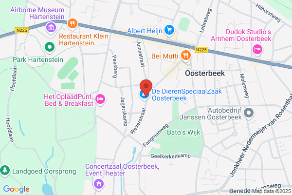 Engelen