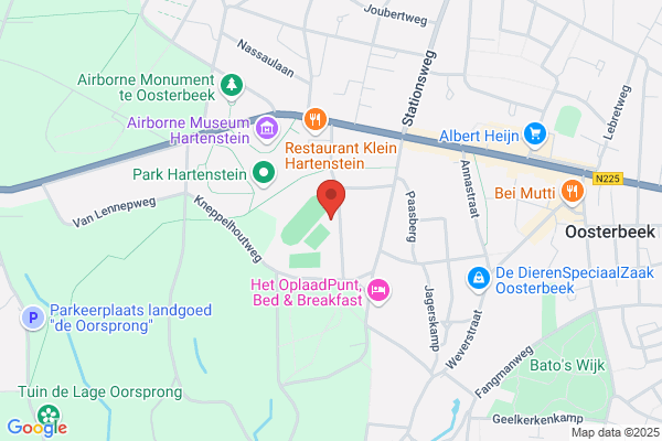 Zuidzoomers Sportver Wsv, De