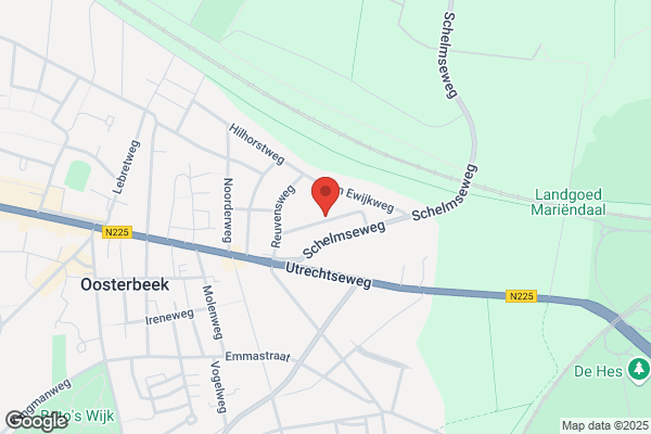 Sneltekst, Vertaalburo