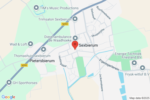 Haan, Autopoetsbedrijf De