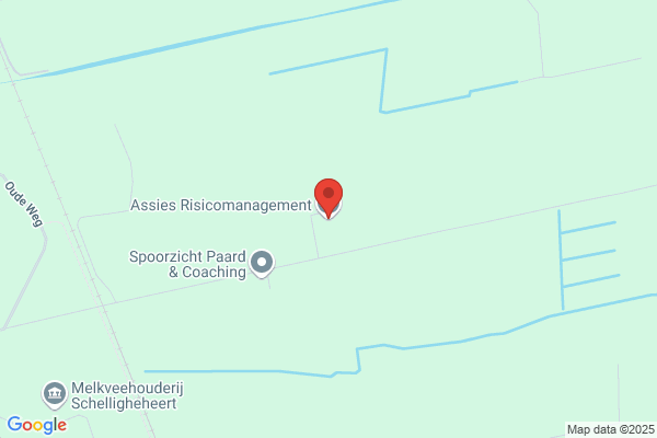 Wesselius Adv.- En Management Consultant