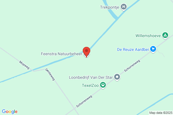 Feenstra, D