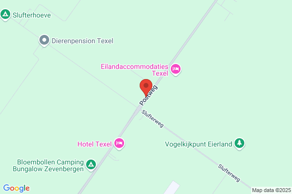 Texel